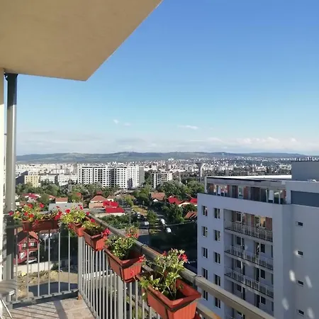 View * 클루지나포카